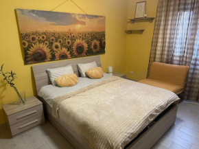 Sunflower Rome